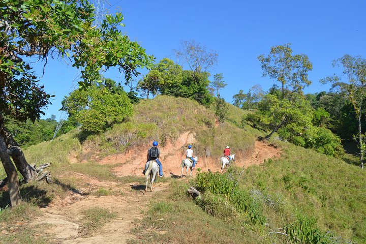 Rancho Típico Don Juan, Horseback Riding tour - Photo 1 of 17